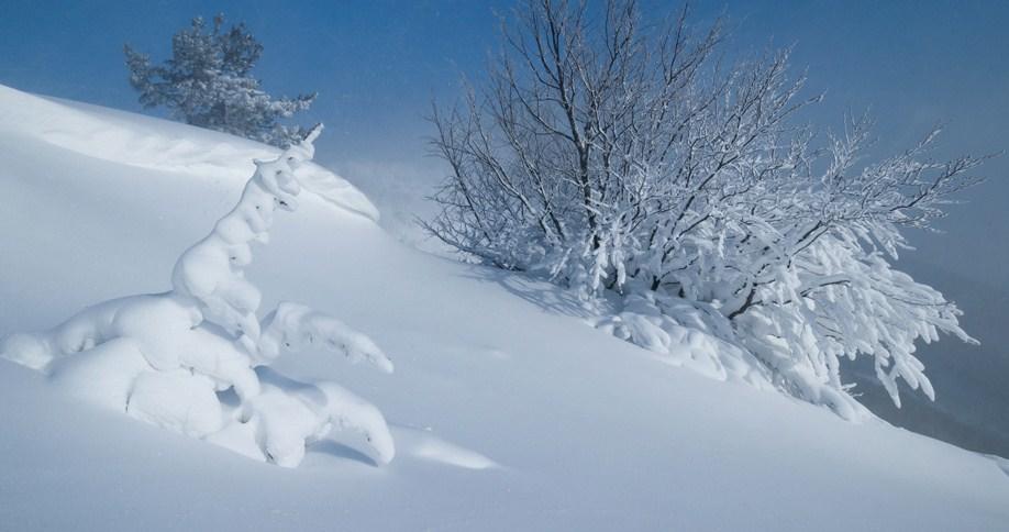 Что означаете видеть во сне снег: толкование сна по сонникам