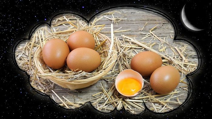 Что означает видеть во сне куриные яйца: токование по сонникам