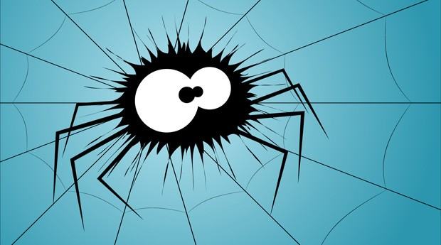 Что означает увидеть во сне пауков: толкование сна по сонникам