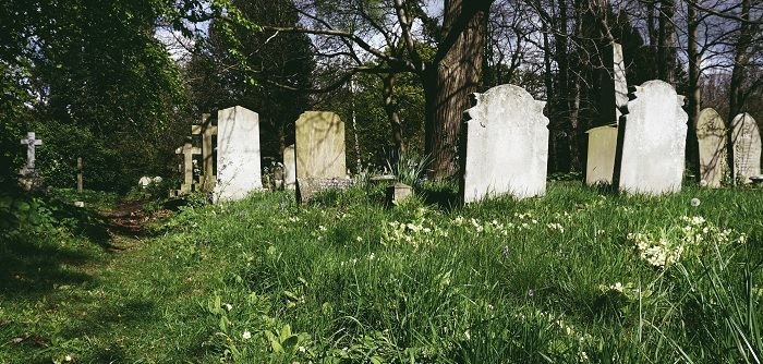 Что означает видеть во сне кладбище: толкование сна по сонникам