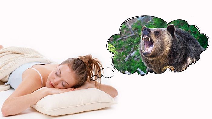 Что означает видеть во сне медведя: токование сна по сонникам