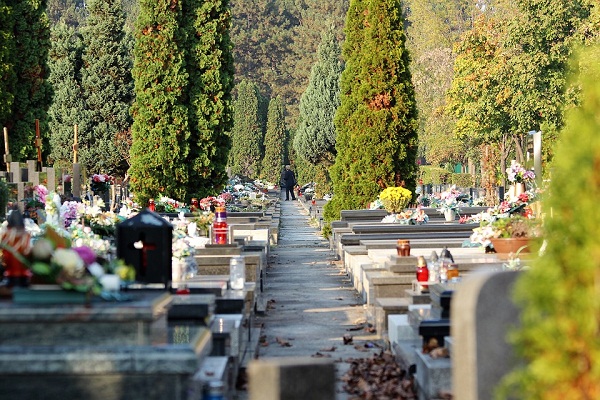 К чему снится кладбище? Толкование и значения снов согласно сонникам
