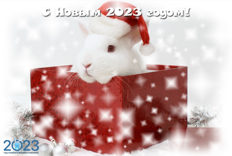 С Новым 2023 годом! Теплые и красивые поздравительные открытки